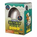 Toysmith Ginormous Hatchin Grow Dino 12 ID101046